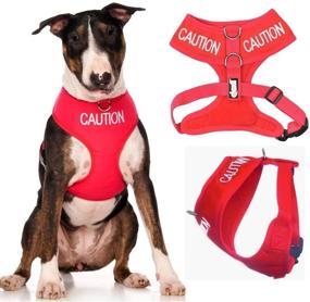 img 4 attached to 🐾 Dexil Limited Caution (Do Not Approach) Dog Harness: Red Color Coded Non-Pull Front and Back D Ring Padded & Waterproof Vest – Prevent Accidents, Alert Others!