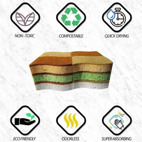 img 3 attached to 🌿 Eco-Friendly Kitchen Sponges: 12-Pack of 6 Types Natural Plant-Based Scrub Sponges with Palm Fiber, Non-Scratch & Compostable, Durable, Odorless Kitchen Scrubbers