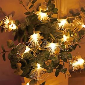 img 1 attached to 16.4ft Flower String Light: Waterproof, 50 LED Fiber Optic for Bedroom, Wall, Christmas Tree, Garland, Wedding Party, Garden Decoration - Warm White