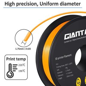 img 3 attached to GIANTARM Orange PLA 3D Printer Filament 1Kg(2