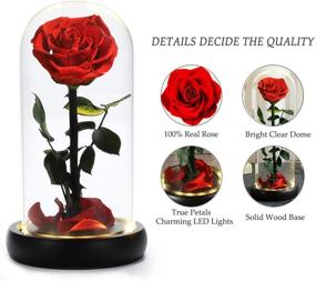 img 3 attached to 🌹 The Forever Rose: Beauty and The Beast Inspired Handmade Preserved Flower with Warm Light – Perfect Gift for Her, Home and Office Decor, Birthday, Christmas, Anniversary, and Parties