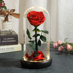 img 2 attached to 🌹 The Forever Rose: Beauty and The Beast Inspired Handmade Preserved Flower with Warm Light – Perfect Gift for Her, Home and Office Decor, Birthday, Christmas, Anniversary, and Parties
