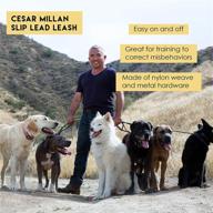 🐕 cesar millan slip lead leash - slip collar training lead, offering enhanced control and swift, gentle corrections for effective dog training logo