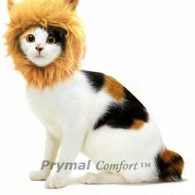 img 2 attached to 🦁 Prymal Lion King Pet Costume - Transform Your Cat or Dog Into a Majestic and Fierce Lion King!