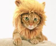 🦁 prymal lion king pet costume - transform your cat or dog into a majestic and fierce lion king! логотип