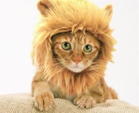 img 3 attached to 🦁 Prymal Lion King Pet Costume - Transform Your Cat or Dog Into a Majestic and Fierce Lion King!