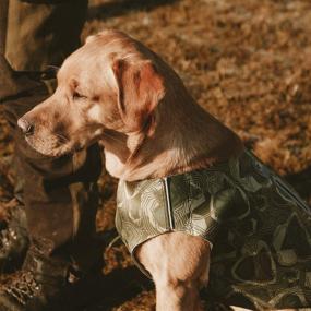 img 3 attached to 🐶 Hurtta Swimmer Vest for Dogs: Hunting/Sportsman Swimming Gear