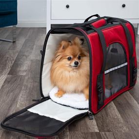 img 1 attached to 🐾 Pet Carrier for Air Travel - Soft-Sided Carrying Bag for Small to Medium Cats and Dogs, Approved by Airlines, Under-Seat Airplane Carriage with Comfy Fleece Bolster Bed for Puppies, Kittens, and Pets