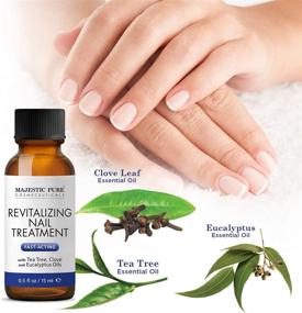 img 3 attached to 🦶 MAJESTIC PURE Natural Nail Treatment - Powerful Toenail Fungus Remedy with Tea Tree, Clove, and Eucalyptus Oils - Repair for Damaged Toe Nails and Promote Foot Health - 0.5 fl oz