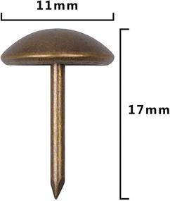 img 1 attached to 🔩 150pcs FUCAS Antique Brass Upholstery Tacks Furniture Nails Pins