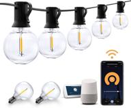 🏞️ xmcosy+ smart outdoor string lights – g40 dimmable led globe string lights for patio, 50ft outdoor patio lights with 2.4ghz wi-fi control by app, compatible with alexa, waterproof & extendable - includes 25 bulbs логотип