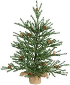 img 4 attached to 18-Inch Vickerman Unlit Carmel Pine Artificial Christmas Tree with Pine Cones and Burlap Base