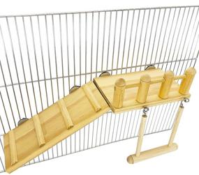 img 3 attached to 🦜 Premium Parrot Climbing Ladder & Wooden Playground Set - Ideal for Green Cheeks, Small Lovebirds, Goldens & Hamsters