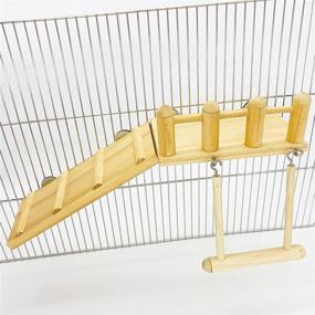 img 2 attached to 🦜 Premium Parrot Climbing Ladder & Wooden Playground Set - Ideal for Green Cheeks, Small Lovebirds, Goldens & Hamsters