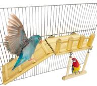 🦜 premium parrot climbing ladder & wooden playground set - ideal for green cheeks, small lovebirds, goldens & hamsters logo