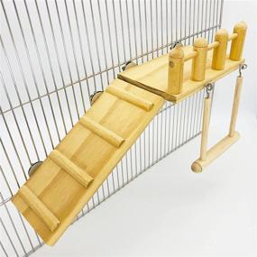 img 1 attached to 🦜 Premium Parrot Climbing Ladder & Wooden Playground Set - Ideal for Green Cheeks, Small Lovebirds, Goldens & Hamsters