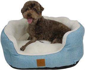 img 4 attached to Enhanced Sleep Comfort Cat Beds, Machine-Washable Dog Bed with Detachable Cushion, Long-lasting Pet Beds for Cats or Small Dogs