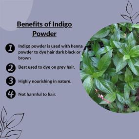 img 3 attached to 🌿 Mi Nature Natural Indigo Powder for Hair Dye - 114g (4 oz), Rajasthani Indigofera Tinctoria - Achieve Stunning Natural Hair Color