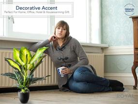 img 2 attached to Royal Imports Artificial Dieffenbachia Decorative