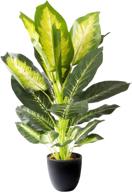 royal imports artificial dieffenbachia decorative logo