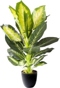 img 4 attached to Royal Imports Artificial Dieffenbachia Decorative