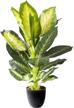 royal imports artificial dieffenbachia decorative logo