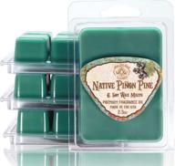 🕯️ way out west candles - native piñon pine scented wax melts - intensely fragrant air freshener - 4 pack set of 6 melt cubes (4, native piñon pine) логотип