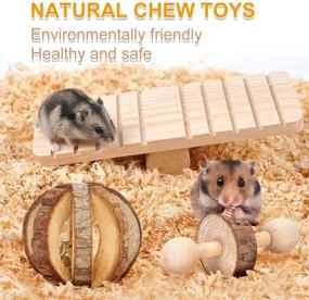 img 1 attached to 🐹 Rubor Hamster Chew Toys for Small Animals – Pack of 10, Promotes Teeth Care, Exercise, and Play with Bell Roller – Perfect for Rabbits, Rats, Guinea Pigs, and More!