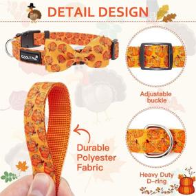 img 3 attached to KOOLTAIL Dog Collar 2-Pack Thanksgiving Day Edition - Festive Print, Adjustable Quick Release Bow Tie Collars for Small, Medium, Large Dogs