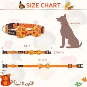 img 4 attached to KOOLTAIL Dog Collar 2-Pack Thanksgiving Day Edition - Festive Print, Adjustable Quick Release Bow Tie Collars for Small, Medium, Large Dogs