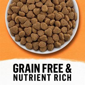 img 3 attached to Purina Beyond Natural Grain Free Chicken Adult Dry Cat Food and Toppers