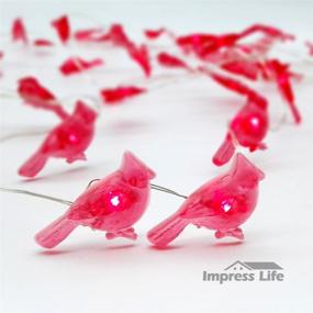 img 3 attached to 🎄 Impress Life Christmas String Lights, Cardinal Red Snow Bird 10 ft 50 LEDs with Remote Timer for Outdoor Covered Spaces, Thanksgiving, Wedding, Birthday, Bedroom, Parties & Home Decorations