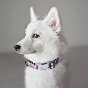 img 3 attached to Mile High Life's Plaid Dog Collar: Supporting Dog Rescues with Soft Polyester Cotton Fabric and Black Buckle