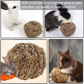 img 2 attached to kathson Woven Pet Hay Bed for Hamsters, Guinea Pigs, Rabbits, and Cats with Bonus Ball