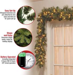 img 1 attached to 🎄 National Tree Company 9-ft Pre-Lit Artificial Christmas Garland, Green Carolina Pine with White Lights and Pine Cones