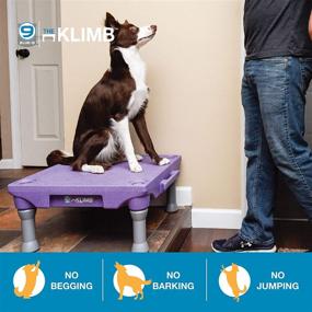 img 2 attached to 🐾 Blue-9 Klimb Dog Training Platform and Agility System: Versatile, Long-lasting, and Portable for Indoor or Outdoor Use