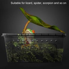 img 2 attached to 🦎 Black Plastic Reptile Box: Ventilated Habitat Cage with Transparent Design for Lizard, Spider, Frog, Scorpion, Snake, Python - Ideal Feeding Container