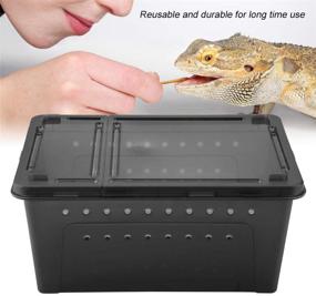 img 3 attached to 🦎 Black Plastic Reptile Box: Ventilated Habitat Cage with Transparent Design for Lizard, Spider, Frog, Scorpion, Snake, Python - Ideal Feeding Container