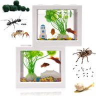 🐠 compact betta fish tank with gravel, plants, rocks, feeder - small aquarium for turtles, reptiles, jellyfish, goldfish, shrimp, moss balls, insects - table decorative box logo