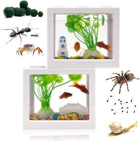 img 4 attached to 🐠 Compact Betta Fish Tank with Gravel, Plants, Rocks, Feeder - Small Aquarium for Turtles, Reptiles, Jellyfish, Goldfish, Shrimp, Moss Balls, Insects - Table Decorative Box