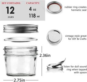 img 3 attached to 🍯 12 Pack of 4 oz Small Glass Canning Jars with Airtight Lids and Bands - Mini Clear Mason Jars for Preserving, Honey, Jam, Baby Food, Spices, Tea, DIY Projects - Dishwasher Safe