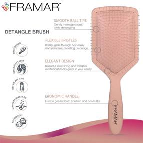 img 3 attached to Framar Detangler Brush Paddle Detangling