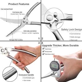 img 1 attached to 🔪 Ножницы Adovs Kitchen: тяжелые нержавеющие ножницы для птицы, мяса, рыбы, овощей, барбекю