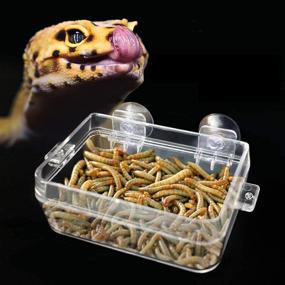 img 4 attached to 🦎 BWOGUE Suction Cup Gecko Feeder: Secure Anti-Escape Dish & Accessories for Reptiles - Ideal for Chameleon, Iguana, Lizard - Effortless Food and Water Feeding