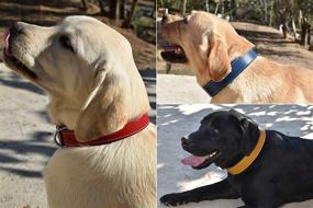 img 1 attached to 🐶 Genuine Leather Dog Collar for Large Dogs - Heavy Duty and Luxury Design Collar by TUBERK