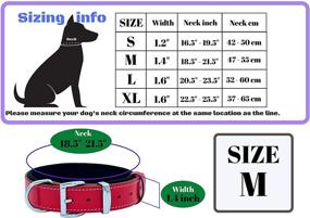 img 2 attached to 🐶 Genuine Leather Dog Collar for Large Dogs - Heavy Duty and Luxury Design Collar by TUBERK