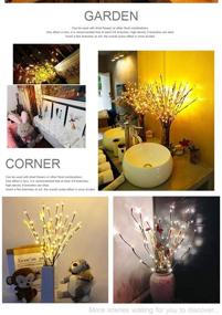 img 1 attached to Zeerkeer Led Branch Lights(2 Pack) 30 Inch 40 LEDs Artificial Willow Twig Lights Battery Powered Decorative Lighted Branches For Vases Home Decoration(White)