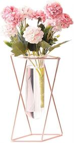 img 4 attached to 🌷 Stylish Aoderun Glass Flower Vase with Metal Stand – Modern Geometry Indoor Hydroponics Plant Decor for Home, Office, and Garden (Rose Gold, Large)