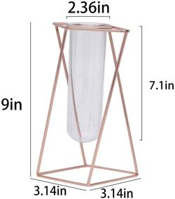 img 3 attached to 🌷 Stylish Aoderun Glass Flower Vase with Metal Stand – Modern Geometry Indoor Hydroponics Plant Decor for Home, Office, and Garden (Rose Gold, Large)