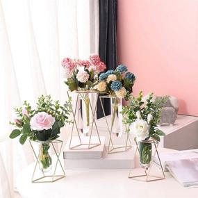 img 1 attached to 🌷 Stylish Aoderun Glass Flower Vase with Metal Stand – Modern Geometry Indoor Hydroponics Plant Decor for Home, Office, and Garden (Rose Gold, Large)